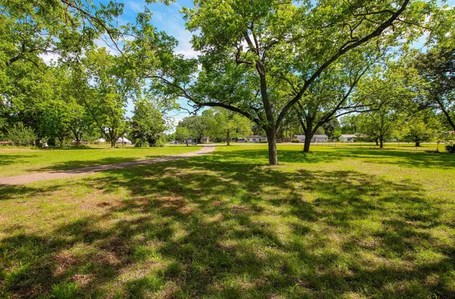 a view of a grassy field with trees