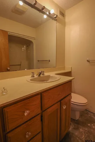 a bathroom with a sink a toilet and vanity