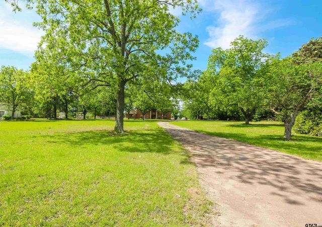 a view of a park with large trees