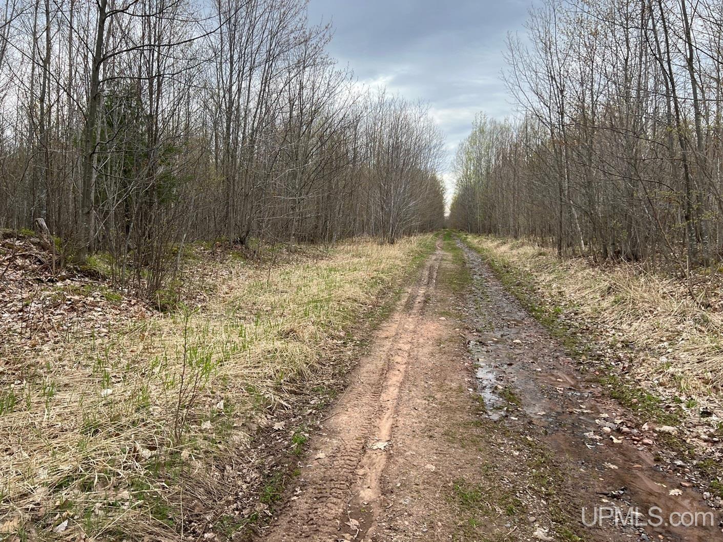 Tbdw Tbdw Off Townline Road Lanse, MI 49946 - Photo 7 of 17