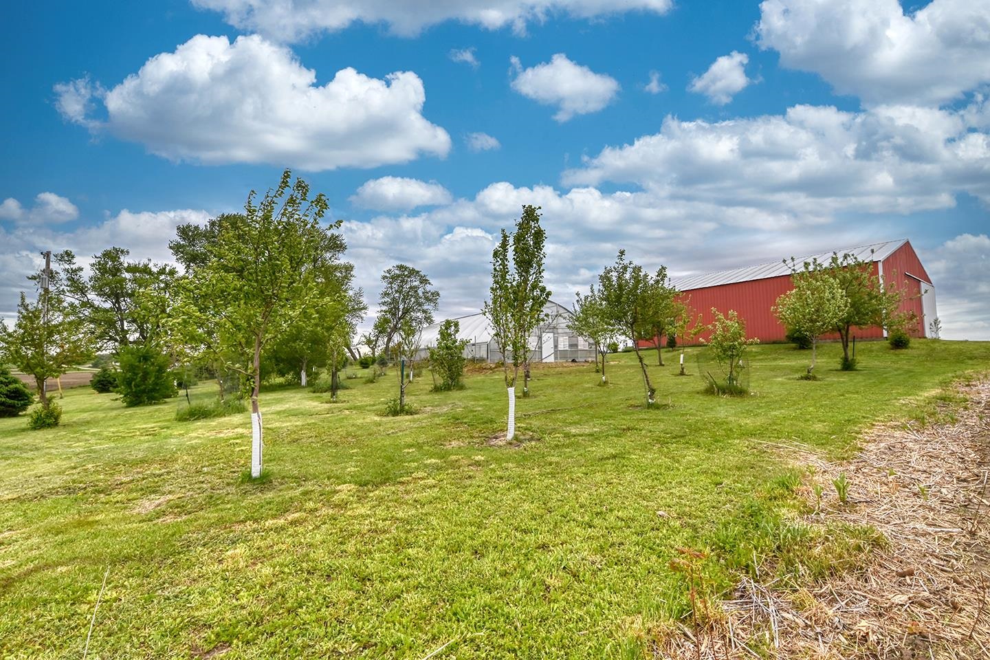 8349 West Mineral Point Road Cross Plains, WI 53528 - Photo 29 of 36
