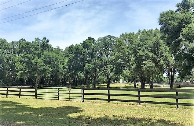 a view of park bench sitting below a tree