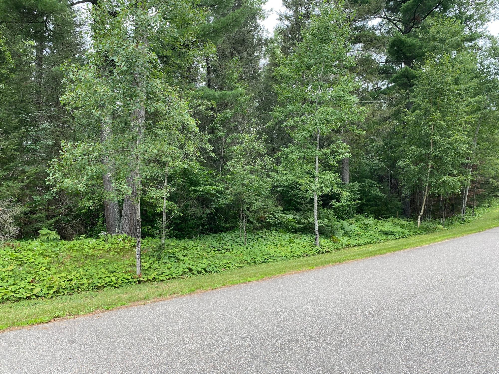 14 Ryan Rpds Bluff Rhinelander, WI 54501 - Photo 8 of 8 Gallery Image 8