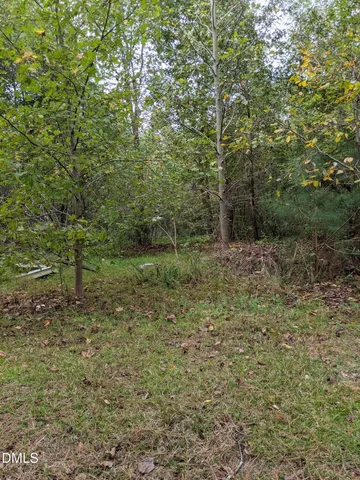 a view of a forest with trees