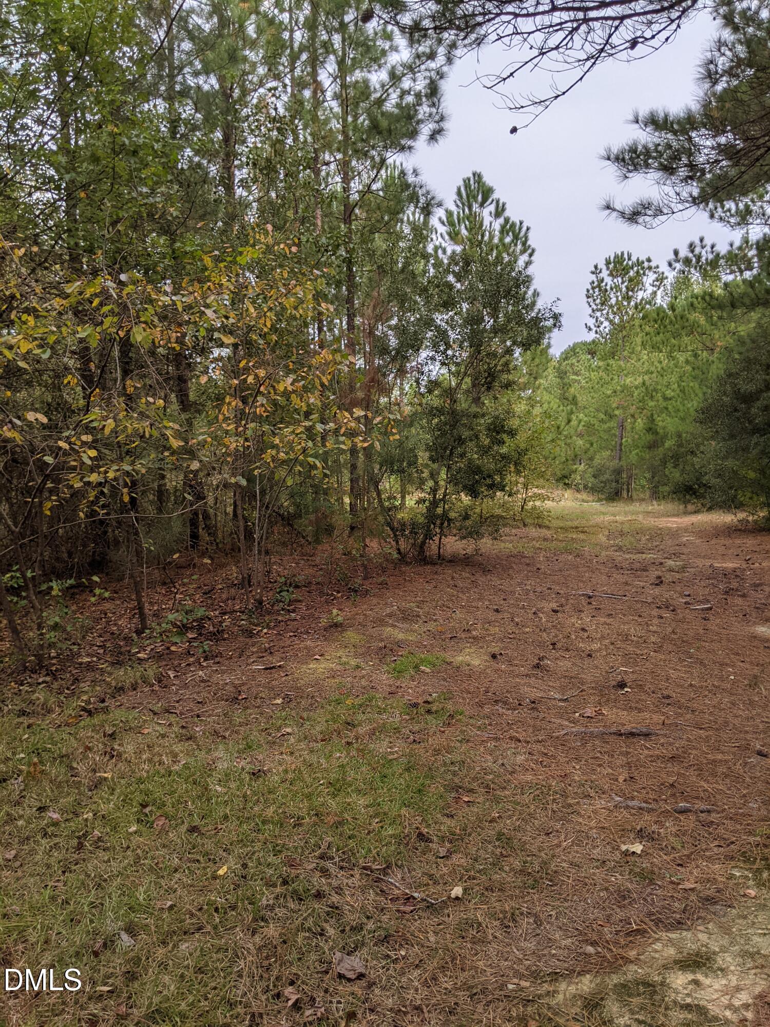 0 West Governor Brandon Street Spring Lake, NC 28390 - Photo 4 of 14 PXL_20251010_170347972