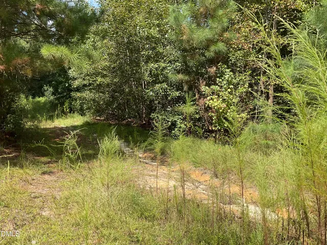 $79,000 | 0 West Governor Brandon Street, Spring Lake, NC 28390