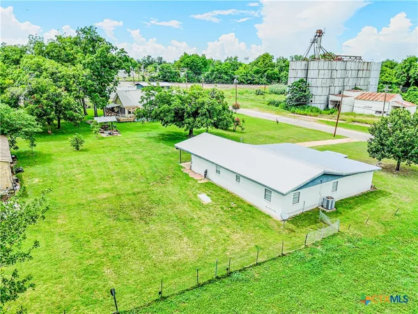 a view of a big yard with potted plants and a large tree