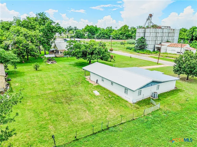 a view of a big yard with potted plants and a large tree