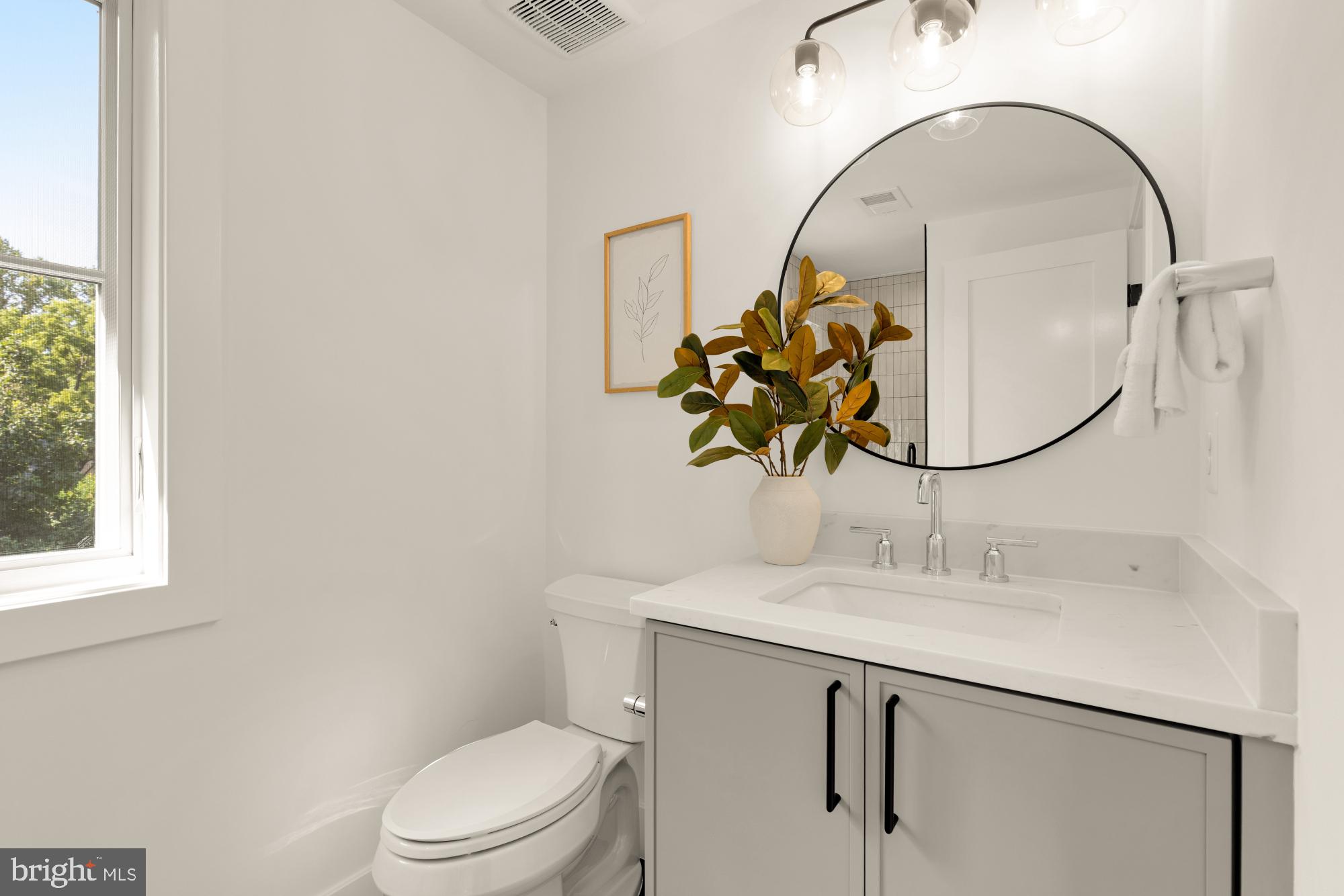 4427 Ridge Street Chevy Chase, MD 20815 - Photo 27 of 42 a bathroom with a sink a toilet and a mirror