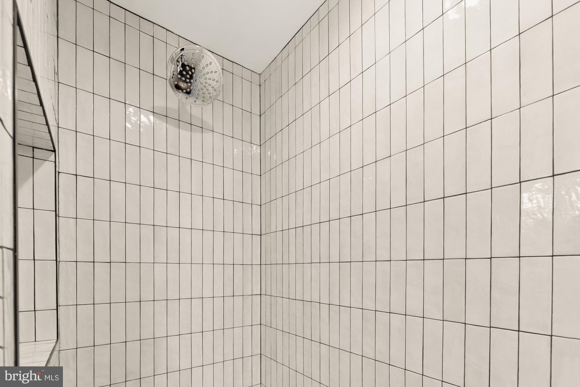 4427 Ridge Street Chevy Chase, MD 20815 - Photo 28 of 42 a bathroom with a shower