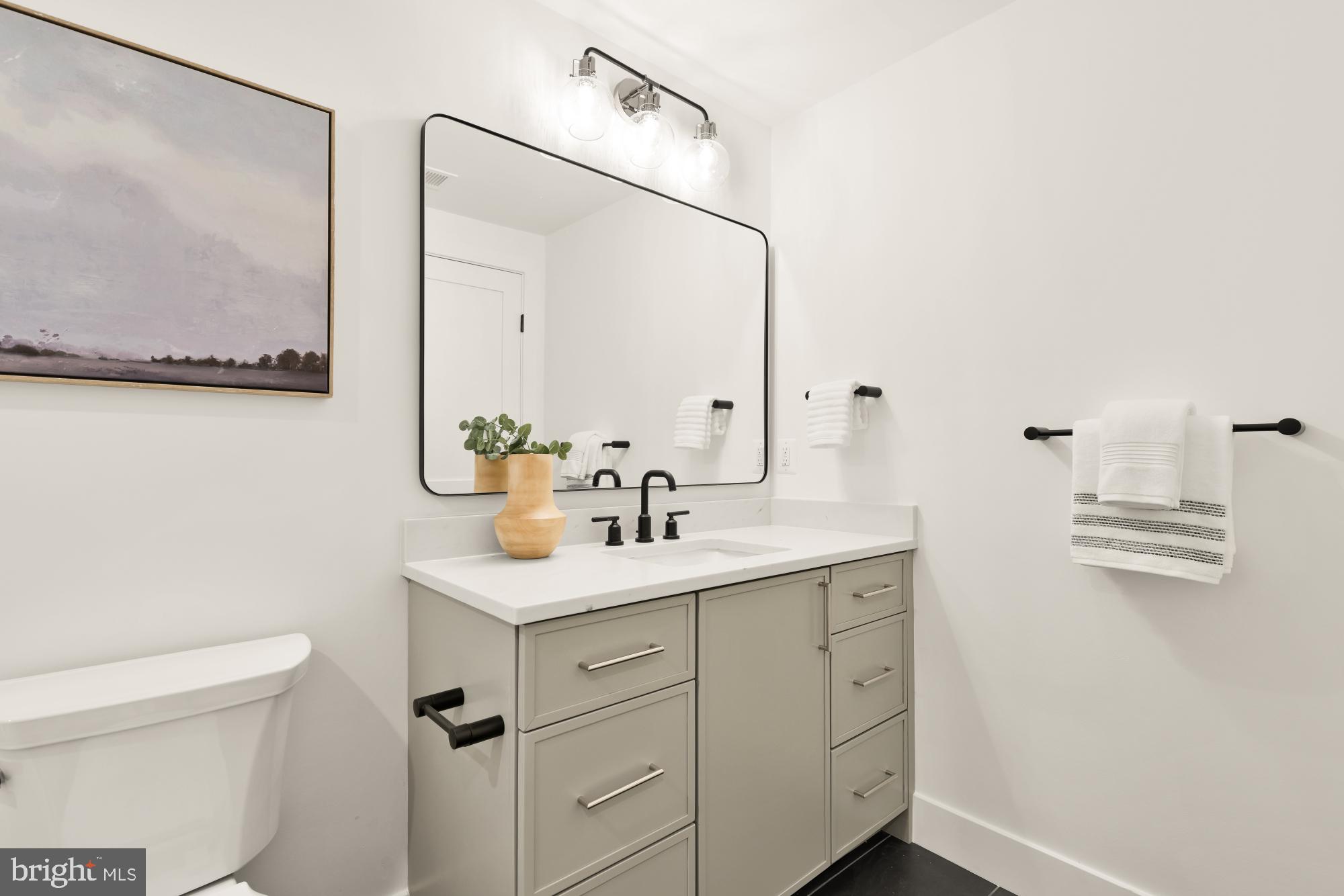 4427 Ridge Street Chevy Chase, MD 20815 - Photo 36 of 42 a bathroom with a sink a toilet and a mirror