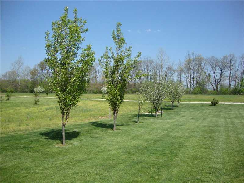 9987 Tower Road Quincy, IN 47456 - Photo 17 of 20 Gallery Image 17