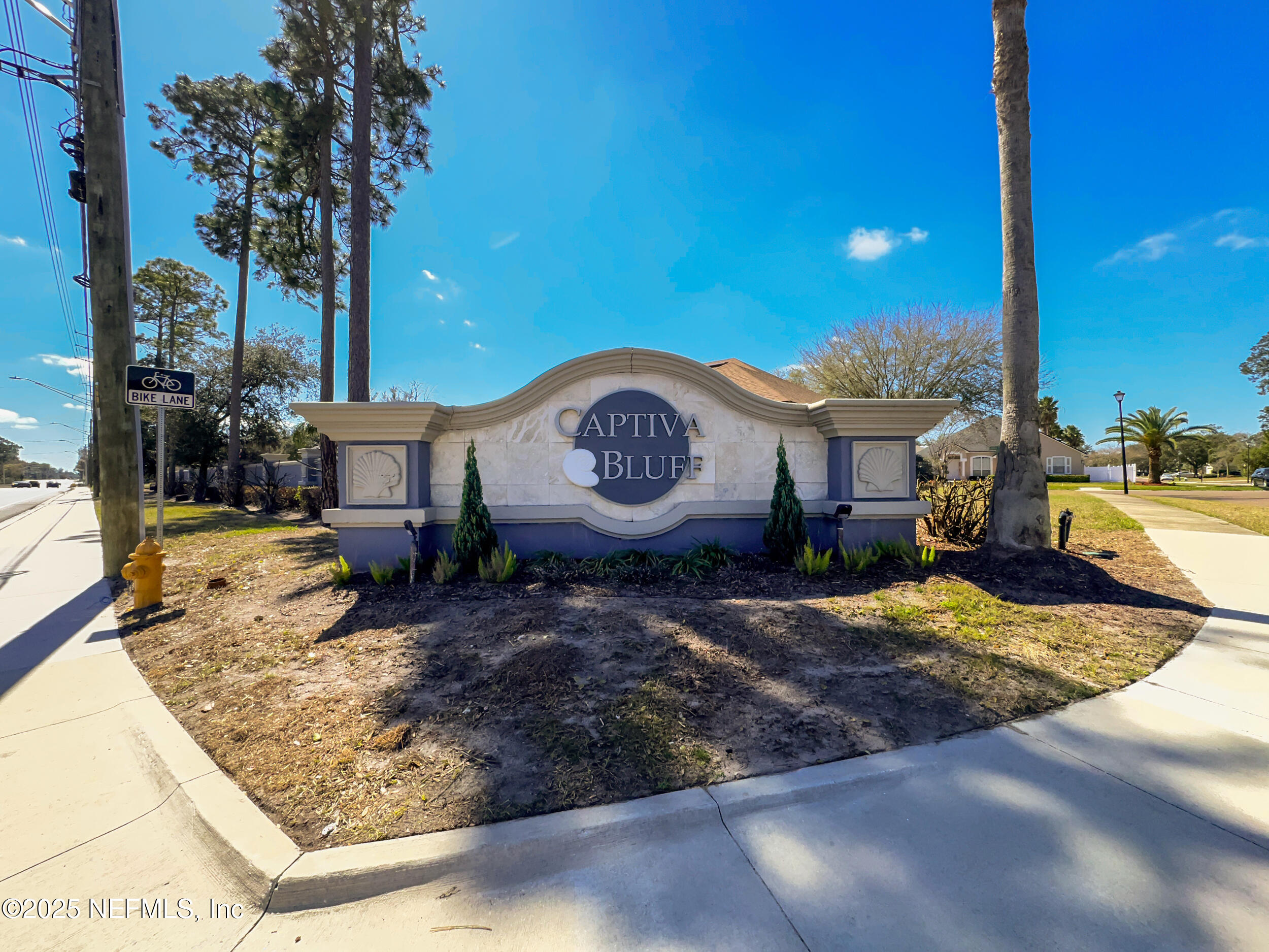 2948 Captiva Bluff Road South Jacksonville, FL 32226 - Photo 45 of 46 a view of a house with backyard
