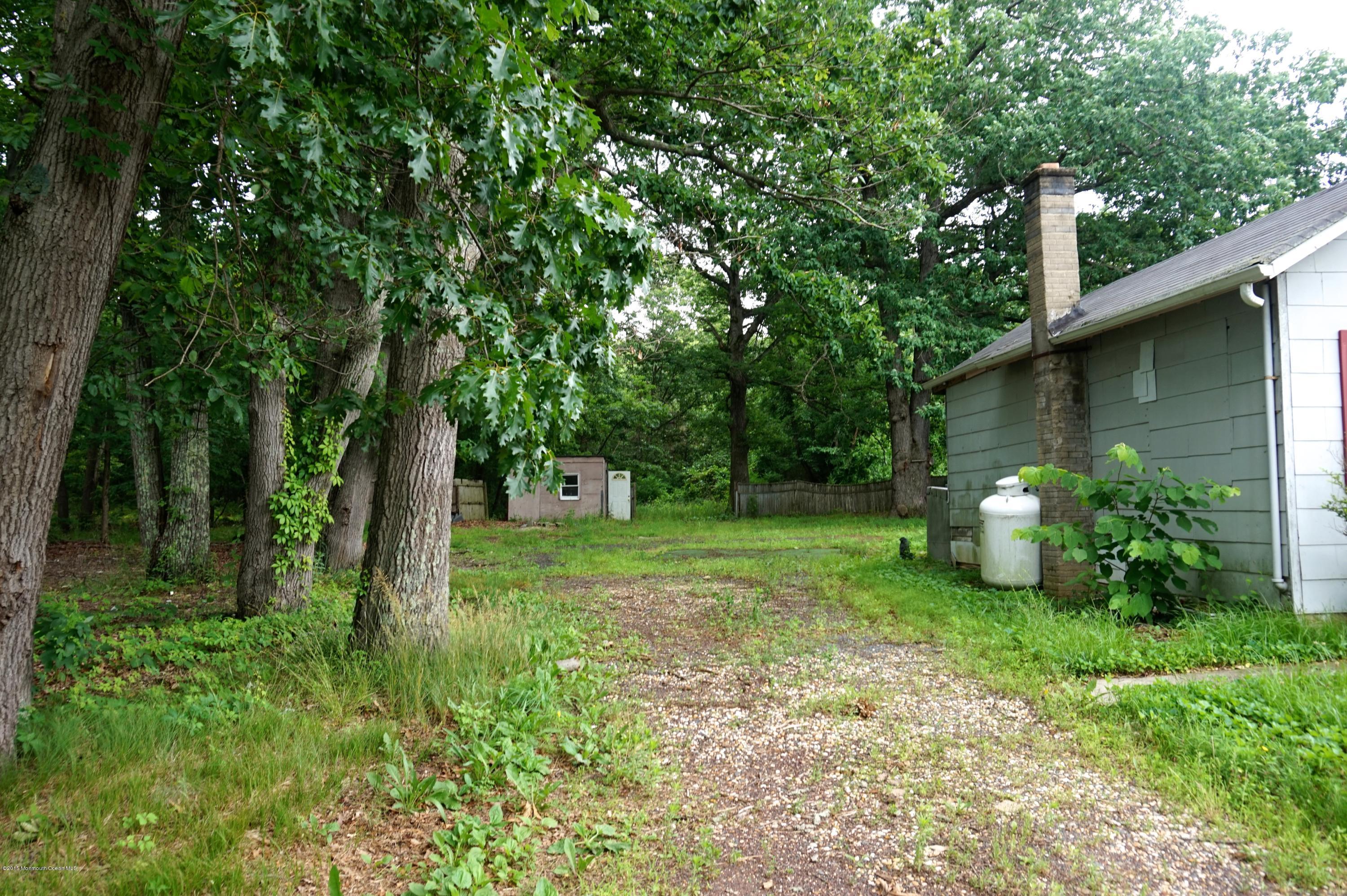 75 Siloam Road Freehold, NJ 07728 - Photo 8 of 9 a view of a garden with a tree