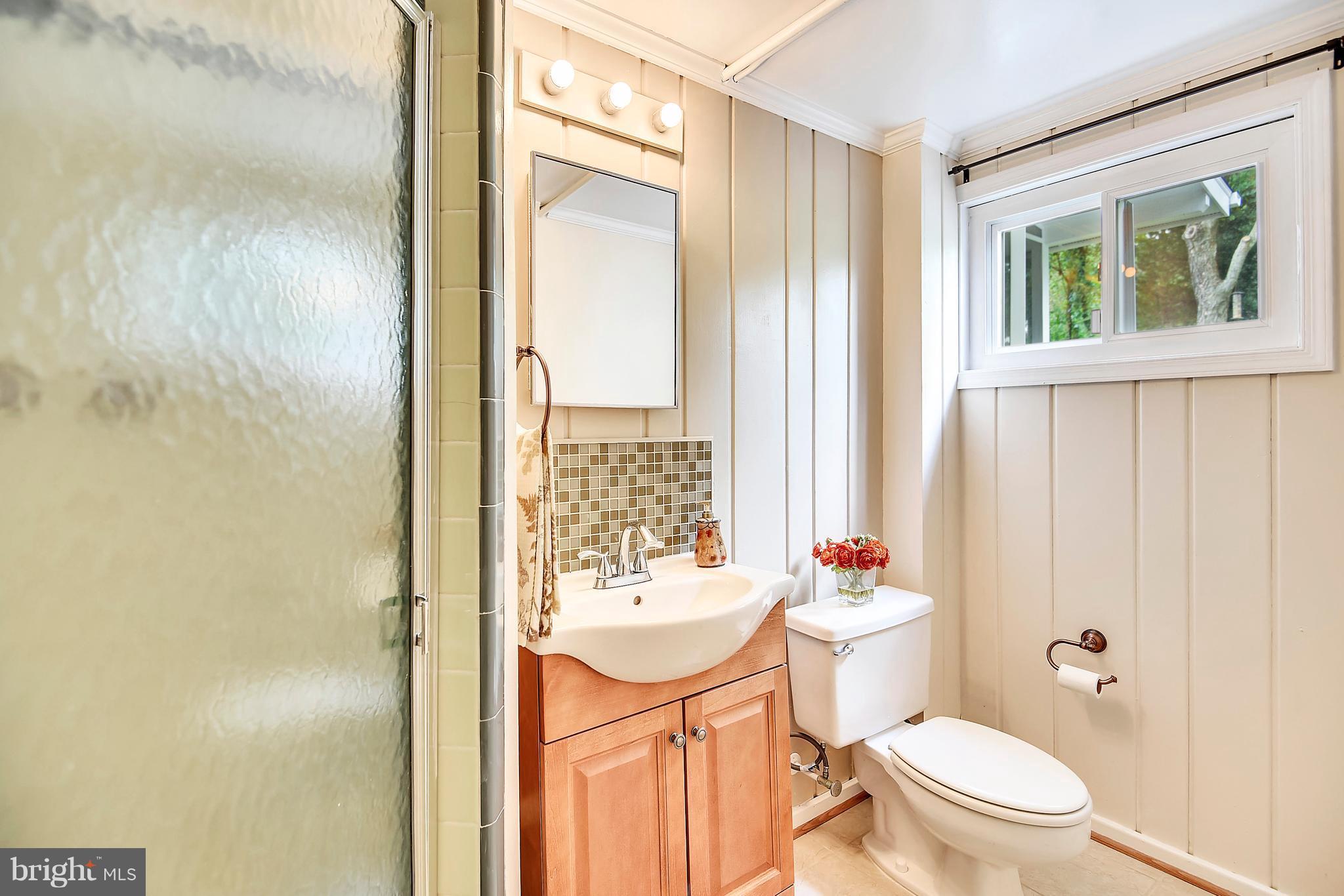 7102 Fort Hunt Road Alexandria, VA 22307 - Photo 24 of 30 Basement Bath