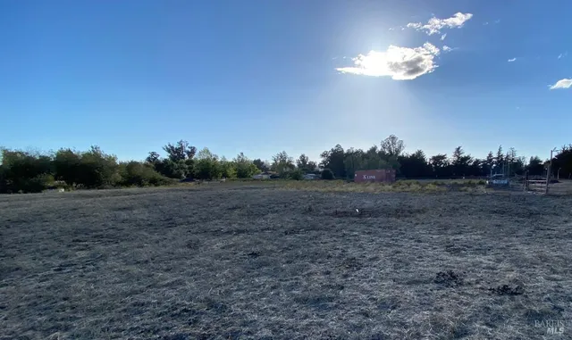 a view of a yard with large trees