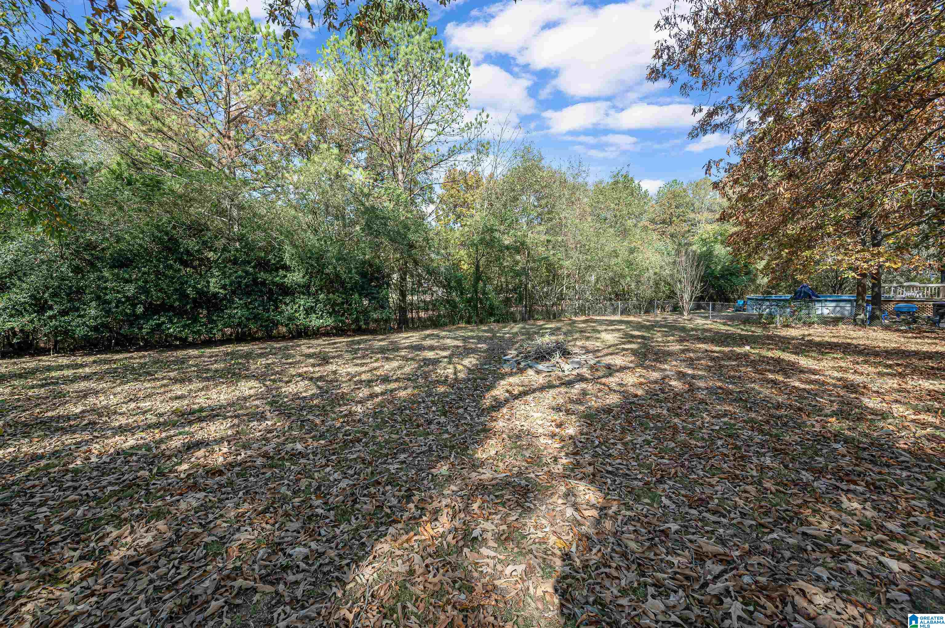 205 Shalimar Circle Alabaster, AL 35007 - Photo 39 of 41