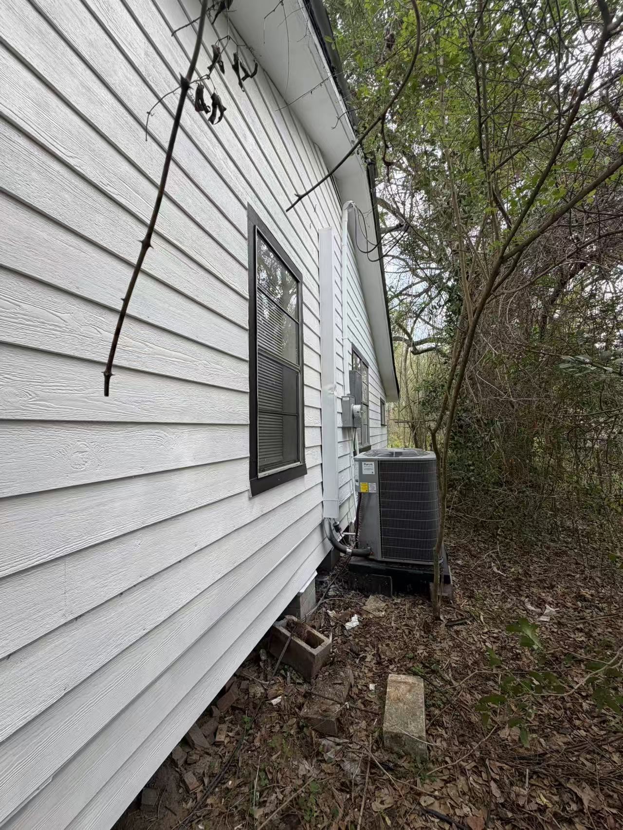 24788 Marks Road Splendora, TX 77372 - Photo 3 of 22 Side Yard with view of New Condenser and New Electric Panel