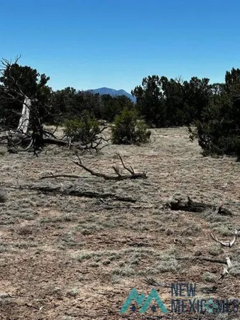 $30,000 | Xx Tomahawk Trail, Quemado, NM 87829