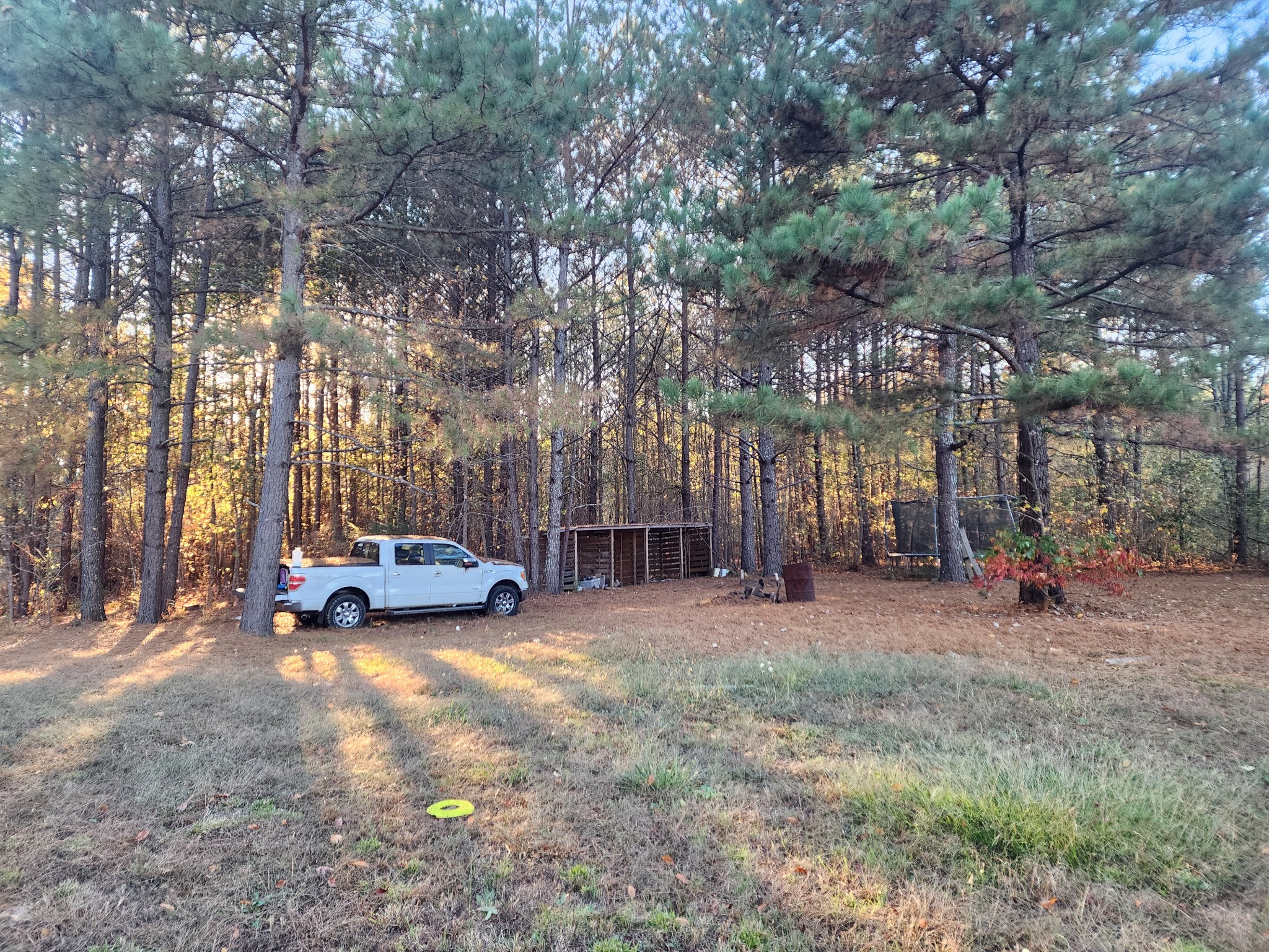 4050 May Branch Road Iron City, TN 38463 - Photo 4 of 18 Gallery Image 4