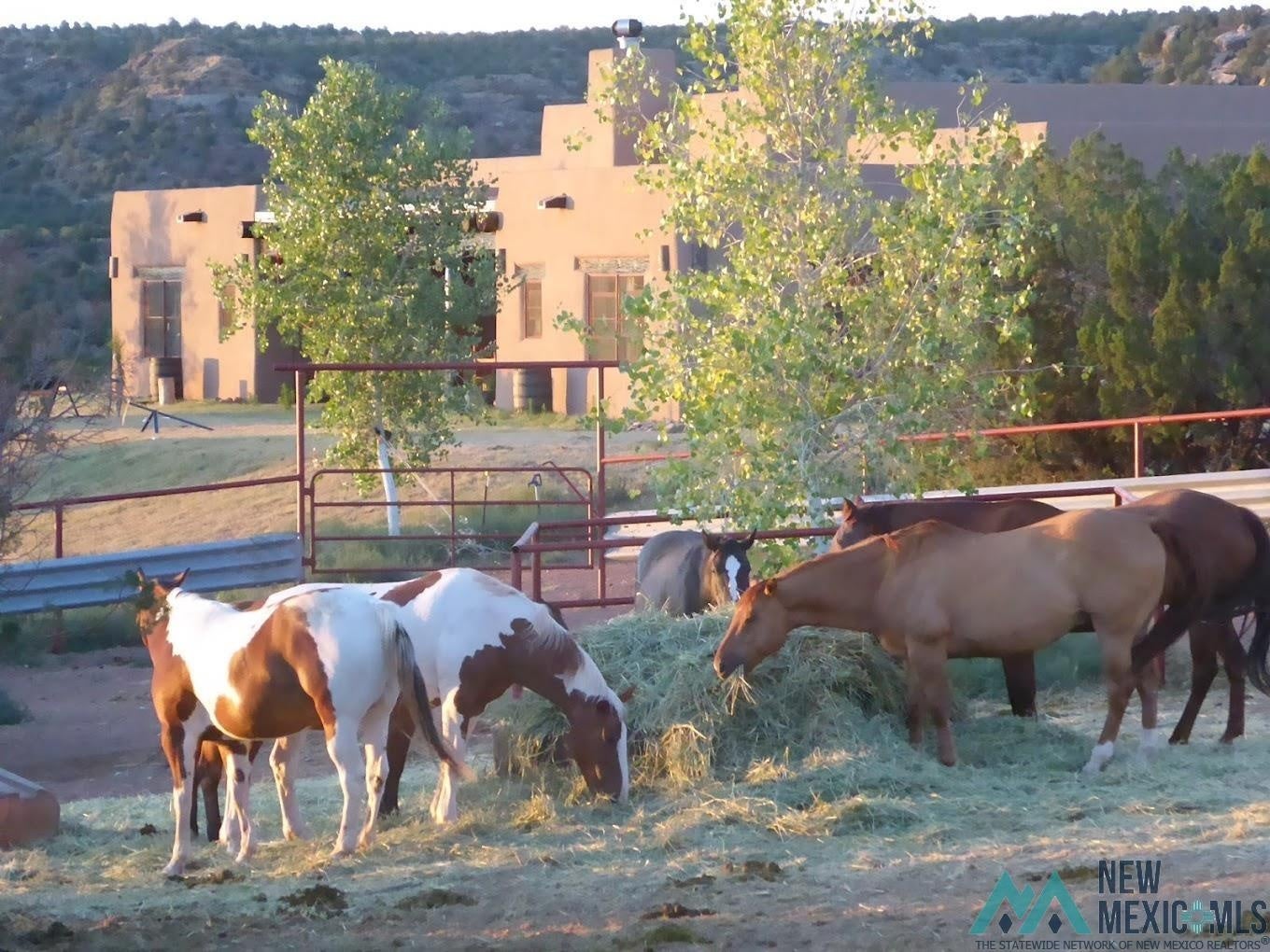 Pecos Valley Ranch Santa Rosa, NM 88435 - Photo 11 of 50 Gallery Image 11