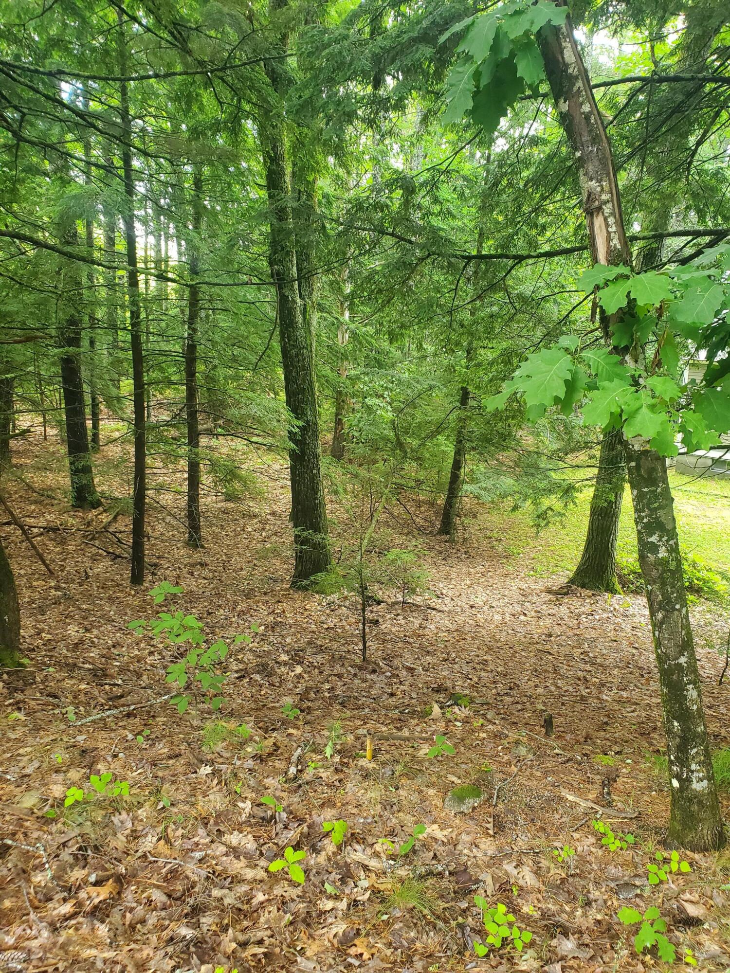 Lot #36 Beaver Brook Road Limerick, ME 04048 - Photo 16 of 18 20260626_133753