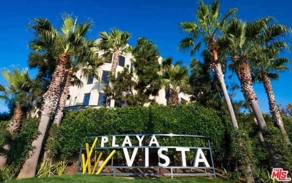 a view of a park with palm trees