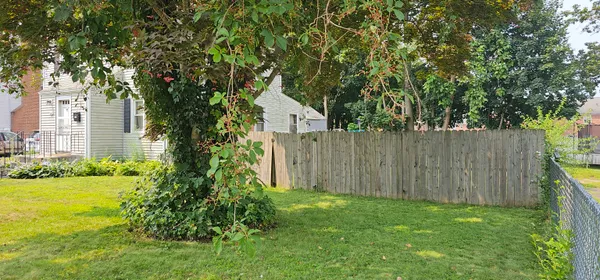 a view of a backyard with plants and large trees