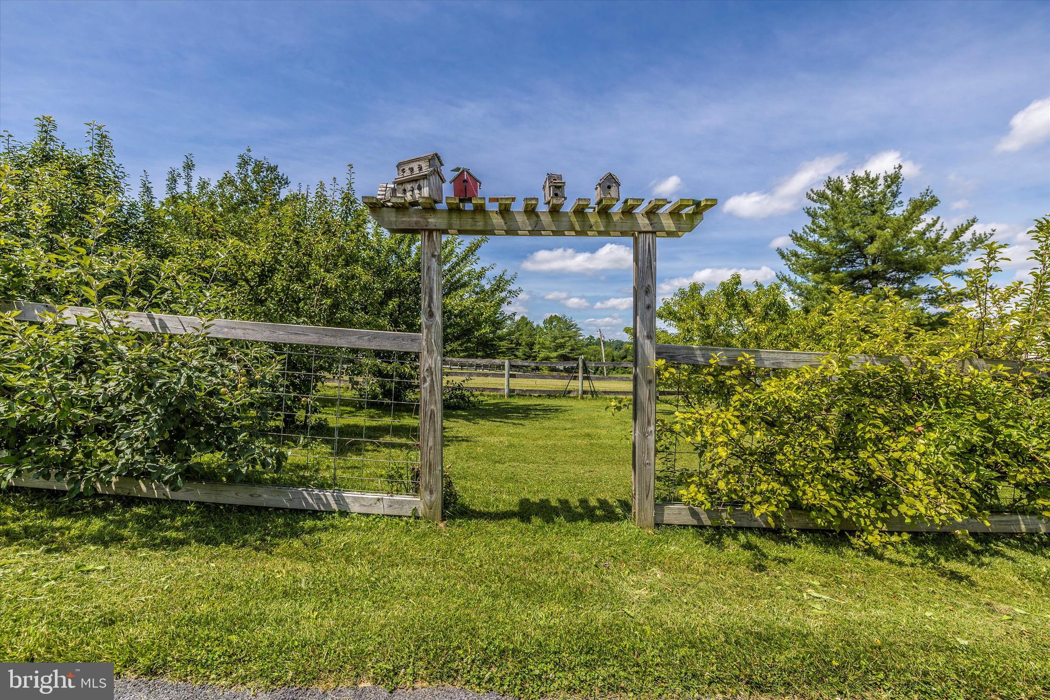 1431 Nicodemus Road New Windsor, MD 21776 - Photo 49 of 77 Entry to Orchard