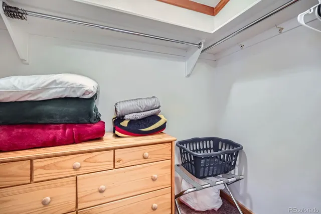 a view of park with large trees