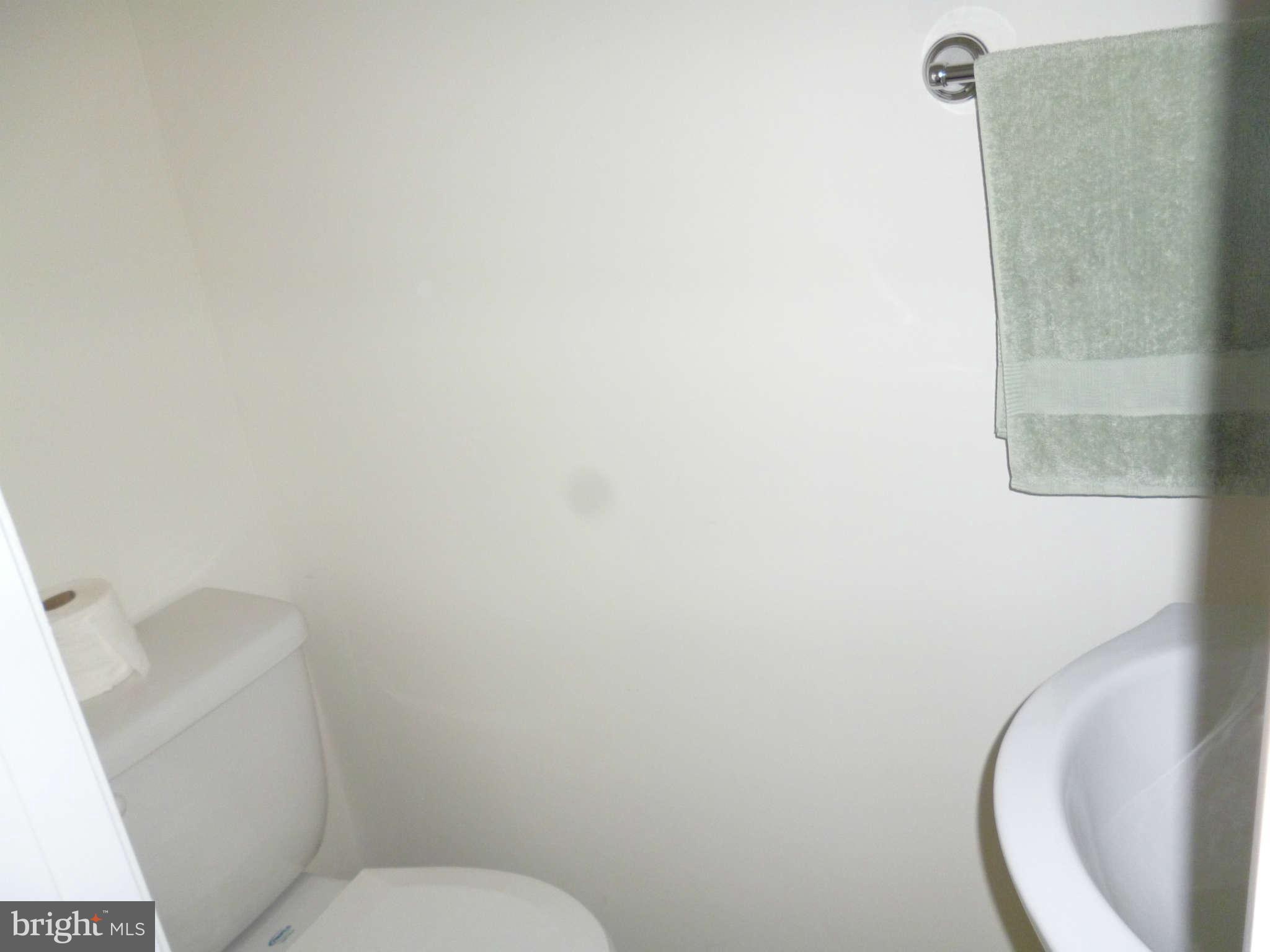 428 Ritter Road White Post, VA 22663 - Photo 8 of 11 Bath (Master)