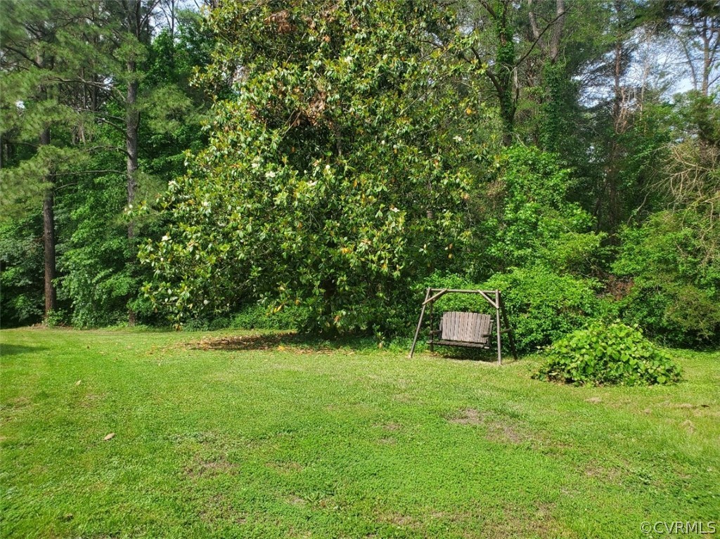 17528 Old Ridge Road Montpelier, VA 23192 - Photo 12 of 19 a view of a back yard