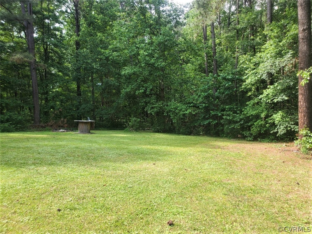 17528 Old Ridge Road Montpelier, VA 23192 - Photo 13 of 19 a view of a field with a trees in the background