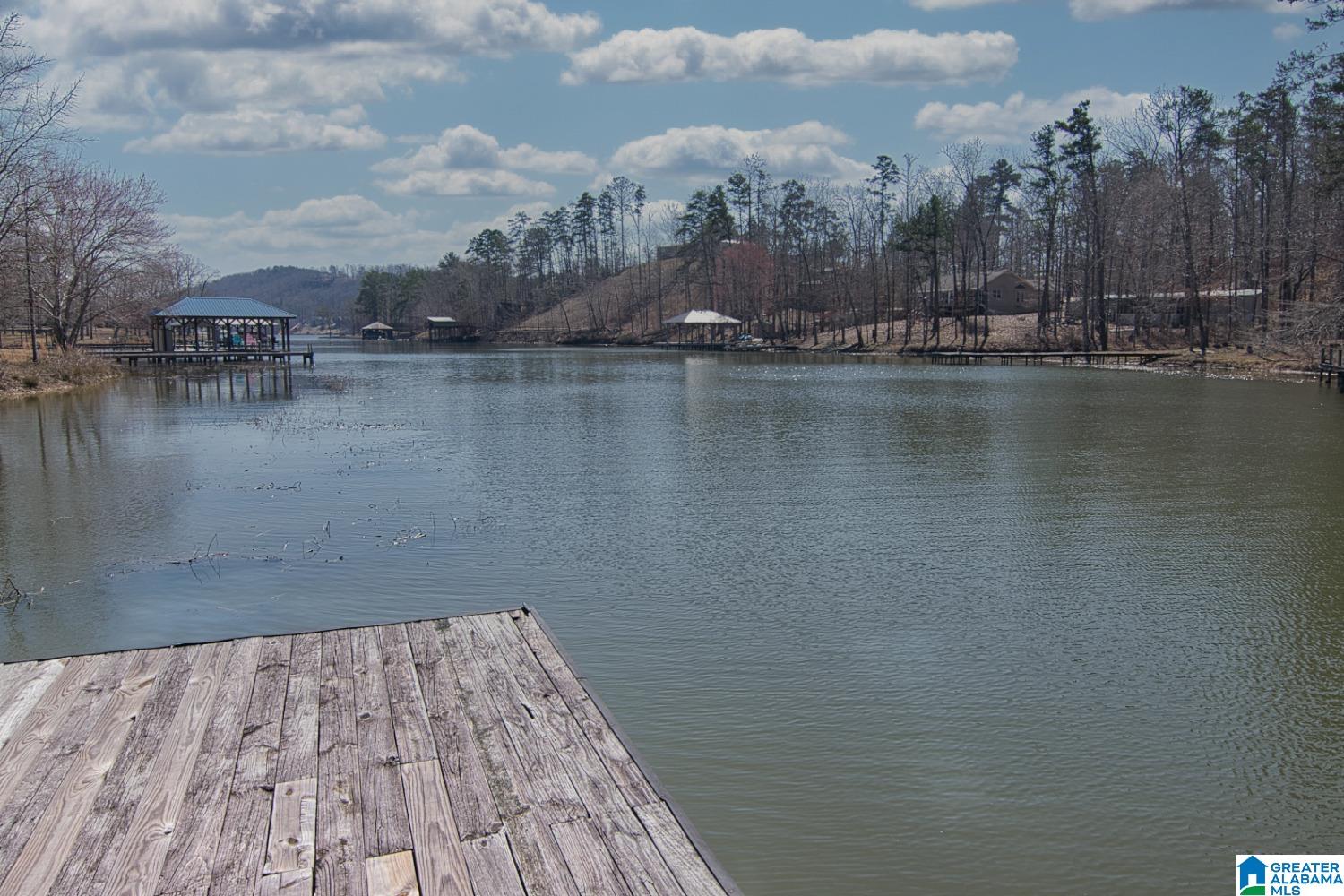255 Sagebrush Road Ashville, AL 35953 - Photo 9 of 24