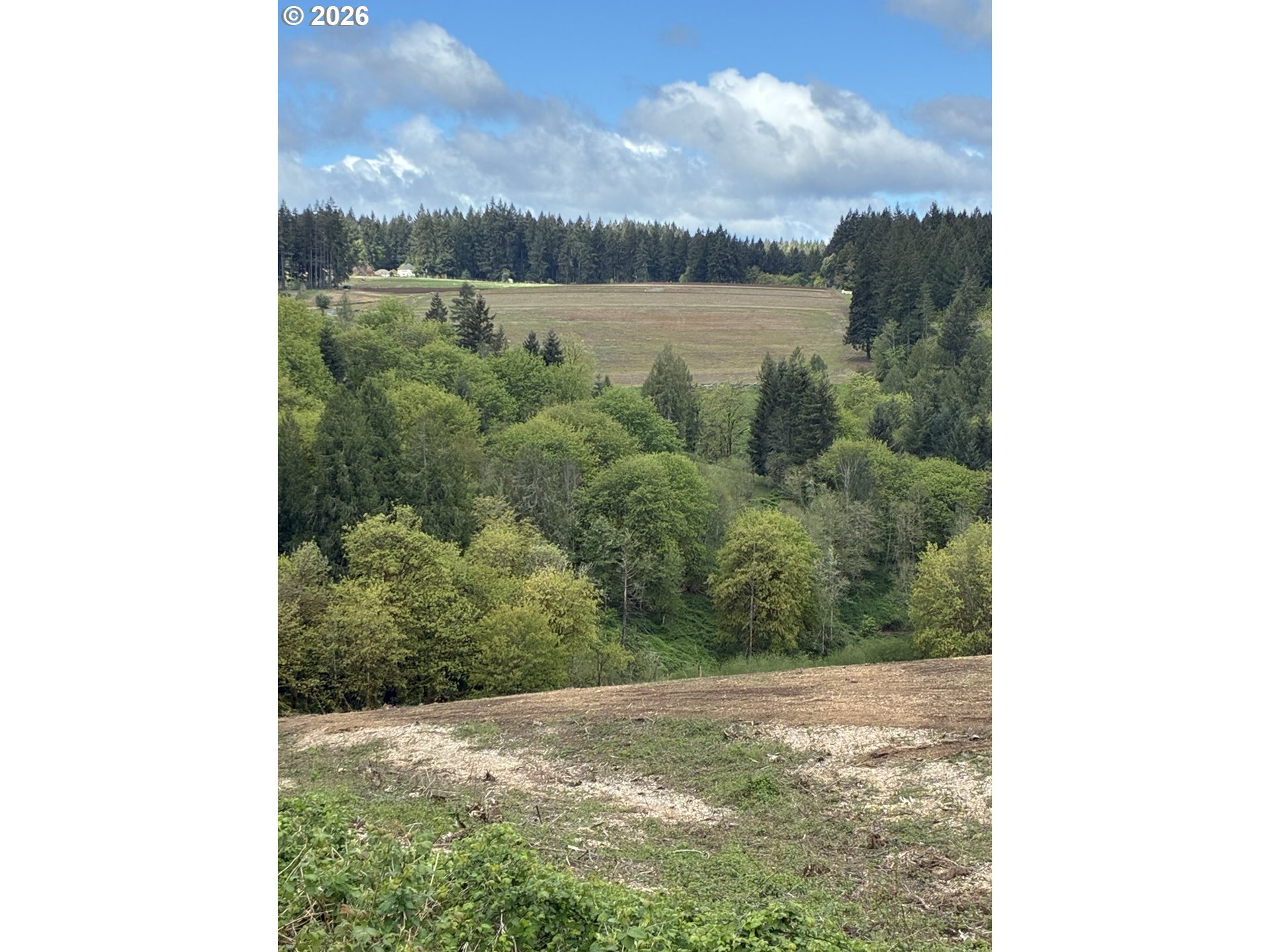 23129 Southwest Jaquith Road Hillsboro, OR 97123 - Photo 28 of 28