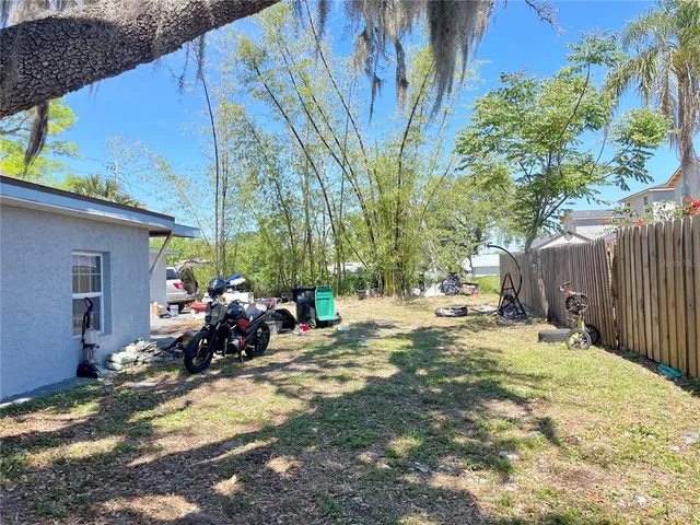 a view of a backyard with a tree
