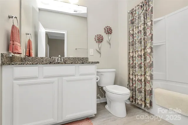 a bathroom with a sink a toilet and a bathtub