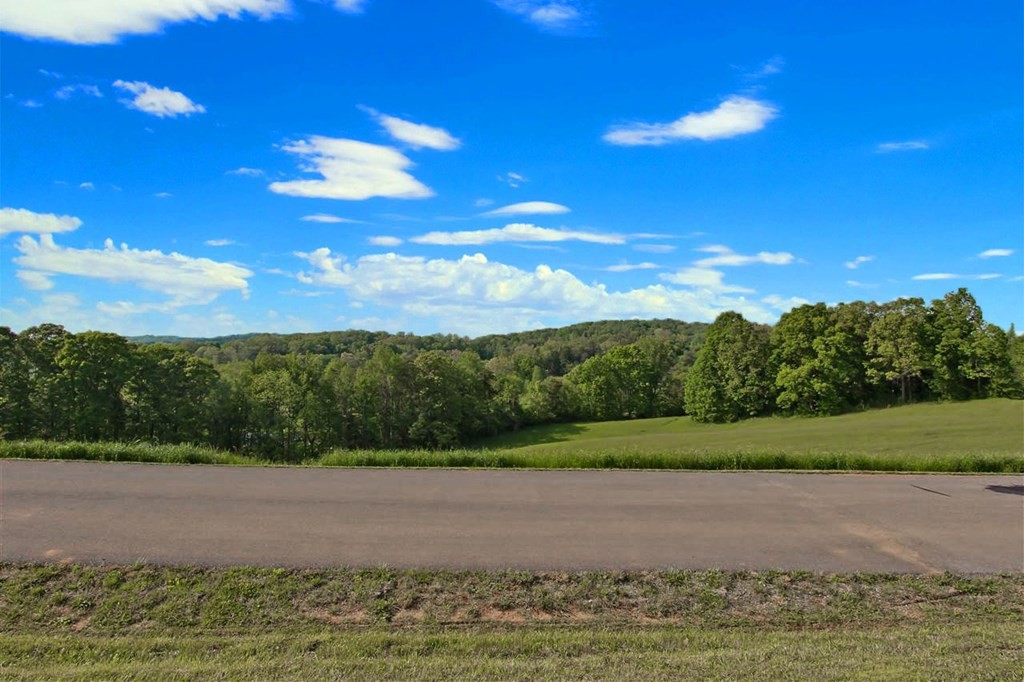 143 Tranquility Ridge Drive Newport, TN 37821 - Photo 4 of 21 Gallery Image 4