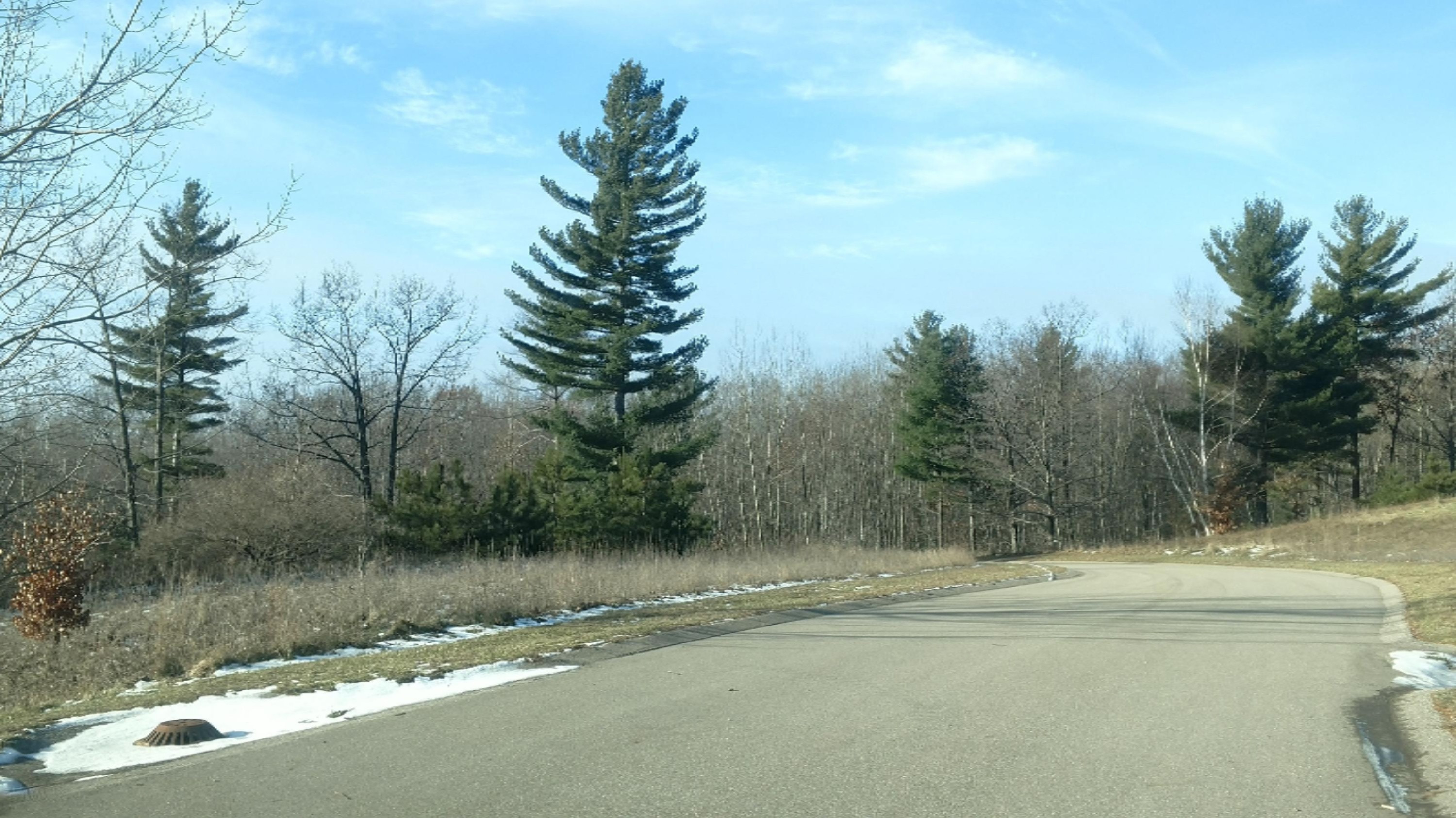 Lot 79 East Starlight Rdg Circle Onekama, MI 49675 - Photo 2 of 10 IMG_20181218_111850342