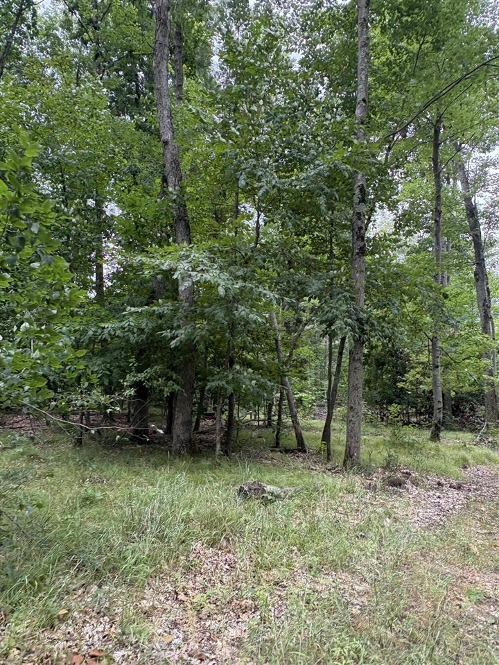 5 5 Mile Road Howard City, MI 49329 - Photo 11 of 99 Gallery Image 11