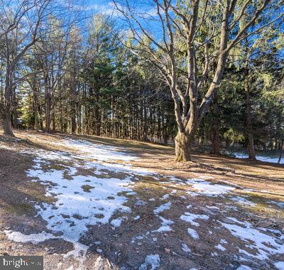 9108 Gue Road Damascus, MD 20872 - Photo 11 of 48 Gallery Image 11