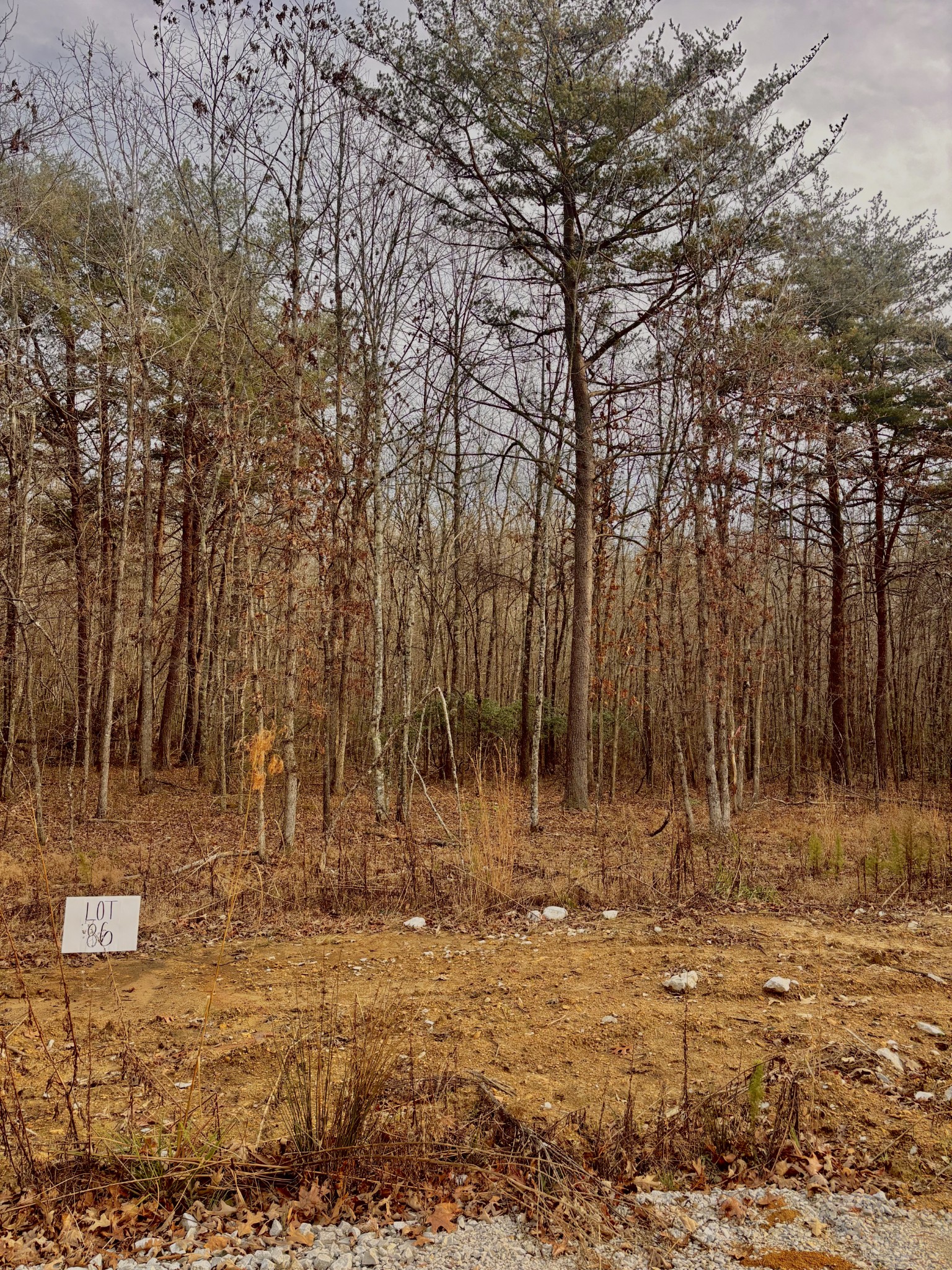 0 Summerfield Road Monteagle, TN 37356 - Photo 3 of 9 a view of dirt field with trees