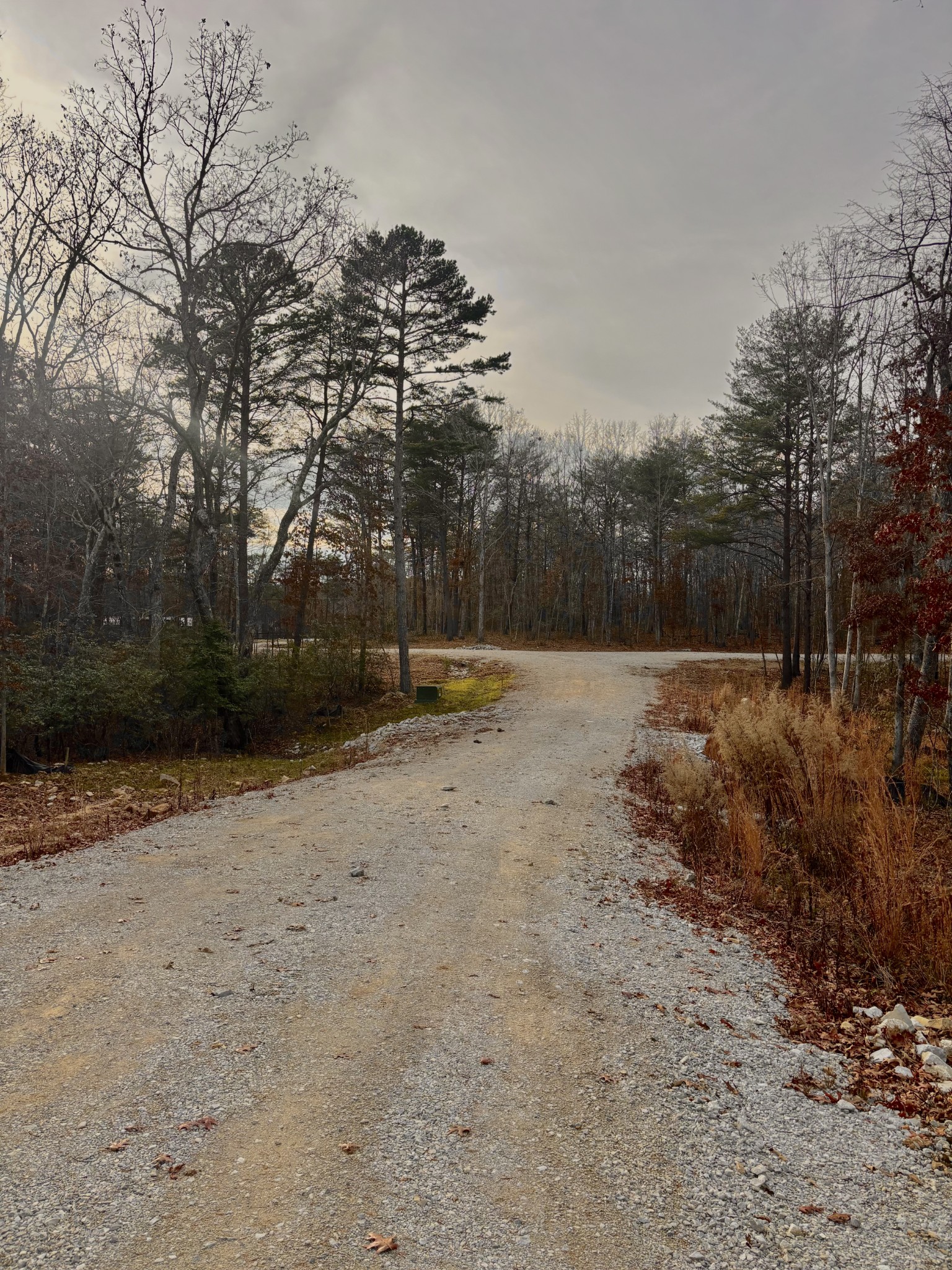 0 Summerfield Road Monteagle, TN 37356 - Photo 5 of 9 a backyard of a house
