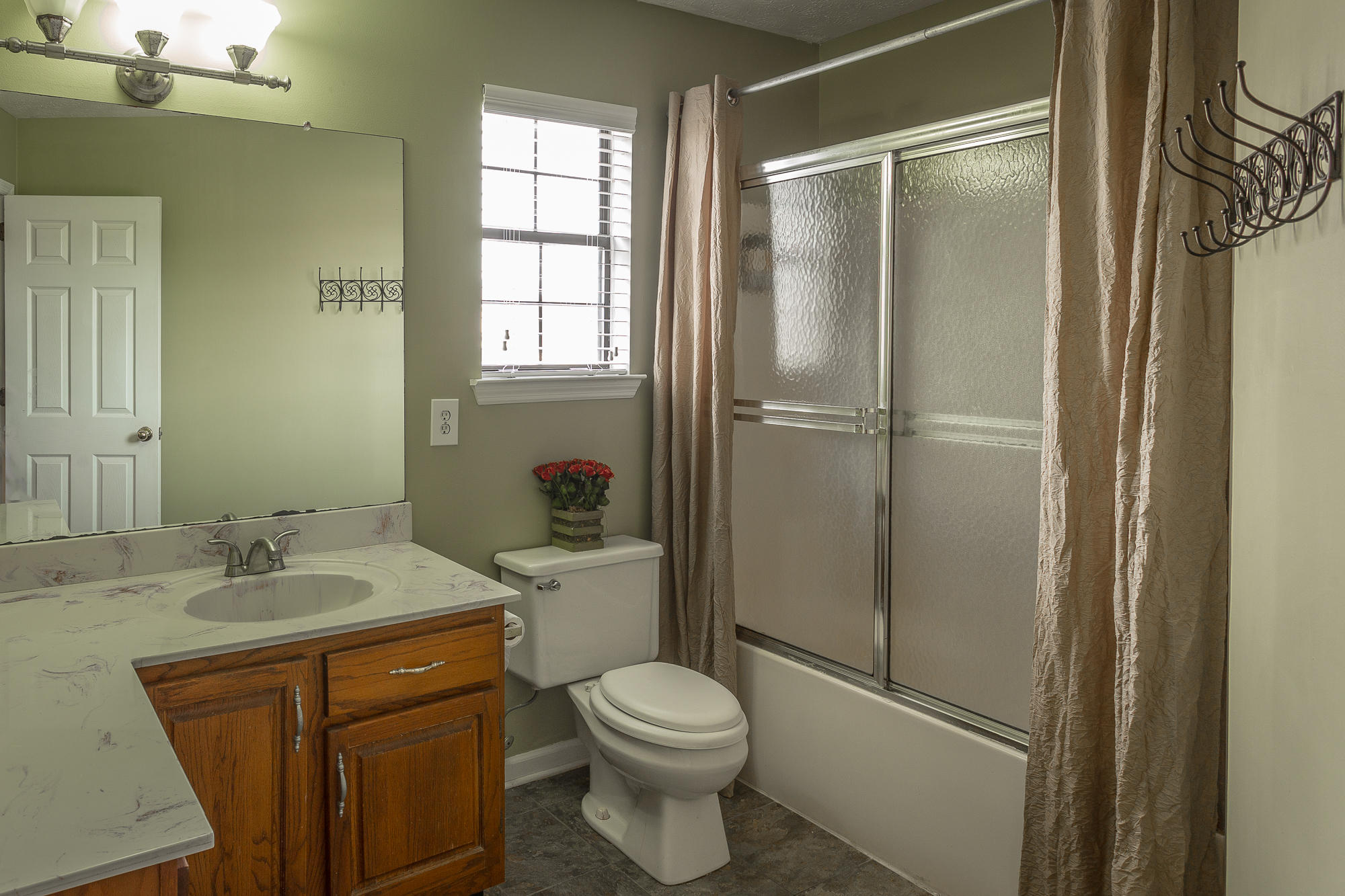 656 Misty Ridge Lane Ringgold, GA 30736 - Photo 14 of 33 Master Bathroom