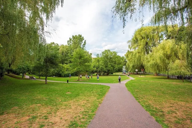 $3,995 | 41 Park Brookline Ma, Unit 404, Brookline, MA 02446