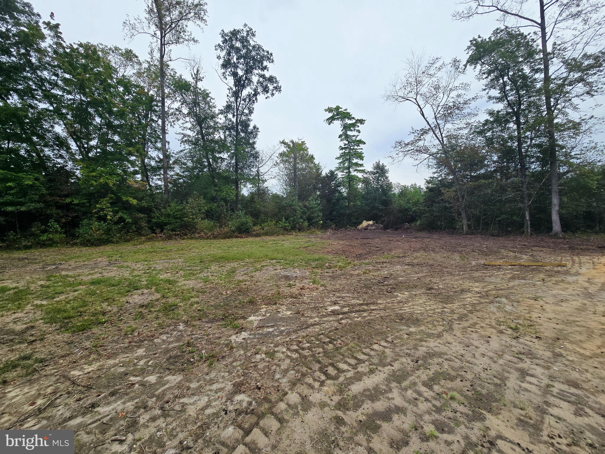 26707 Shortly Road Georgetown, DE 19947 - Photo 29 of 35 a view of a field with trees in the background