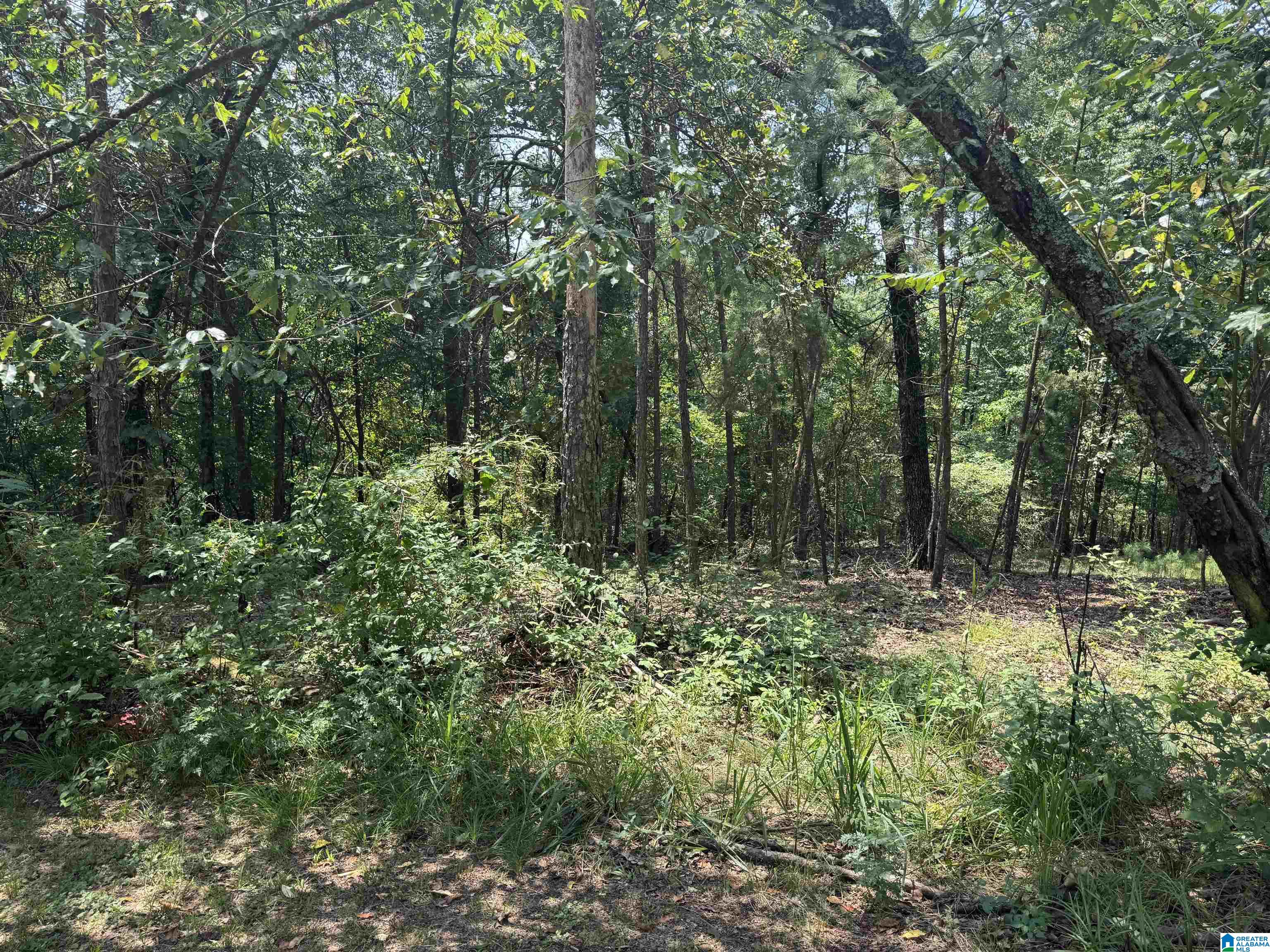 305 Stone Ridge Trail North Anniston, AL 36207 - Photo 57 of 72