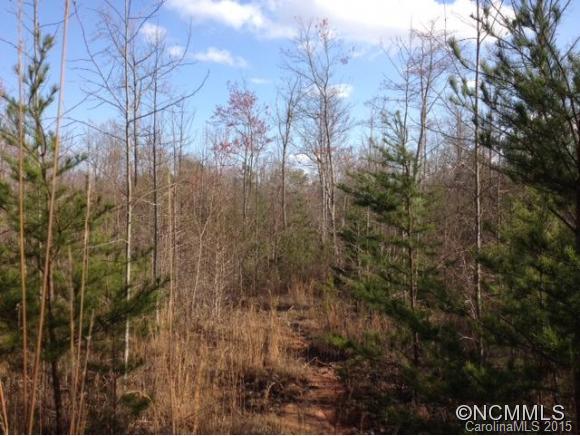 0 Bramlett Road Taylors, SC 29687 - Photo 2 of 4