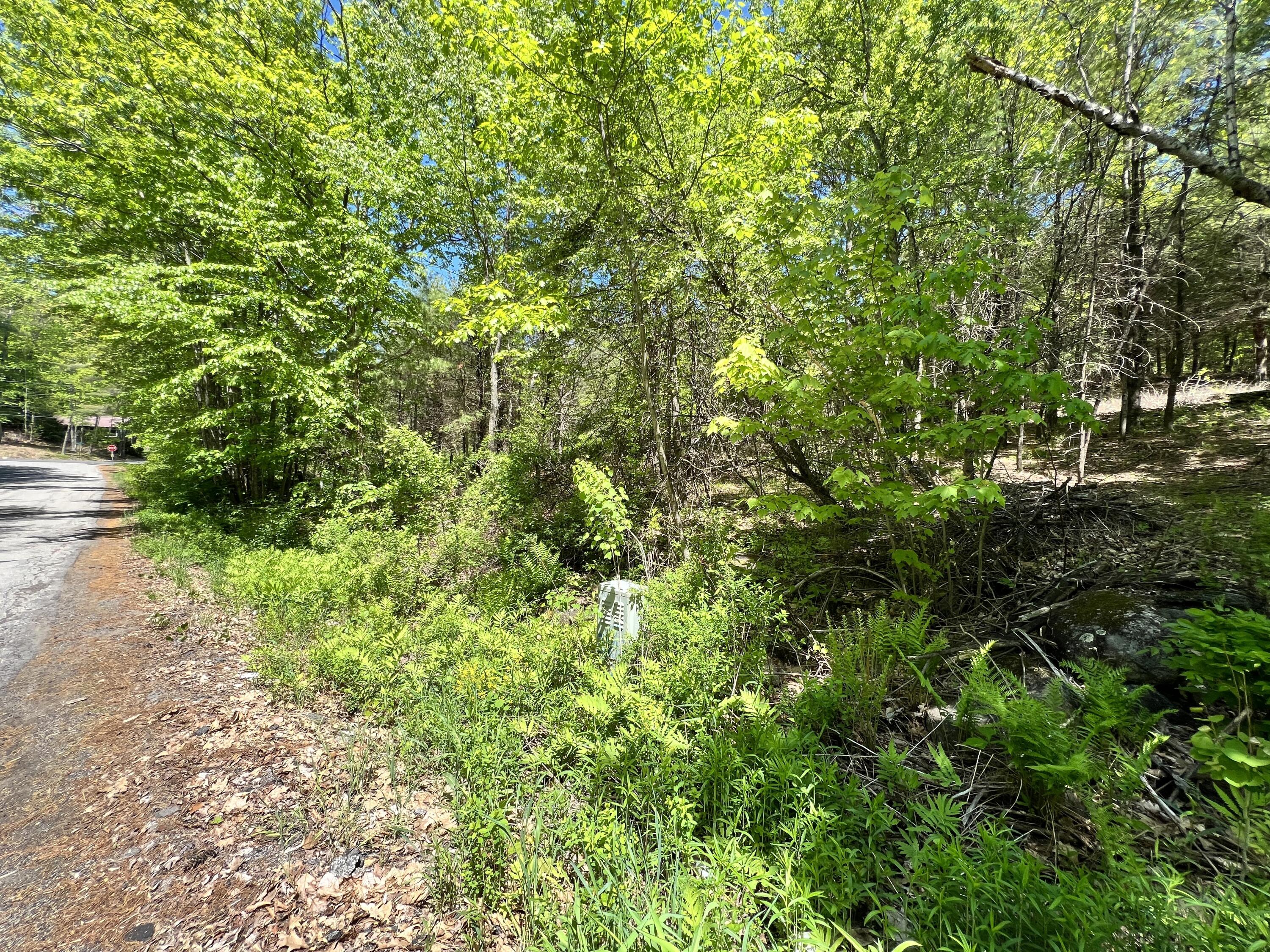 0 Yeaton Hill Road Springvale, ME 04083 - Photo 2 of 5 land 5