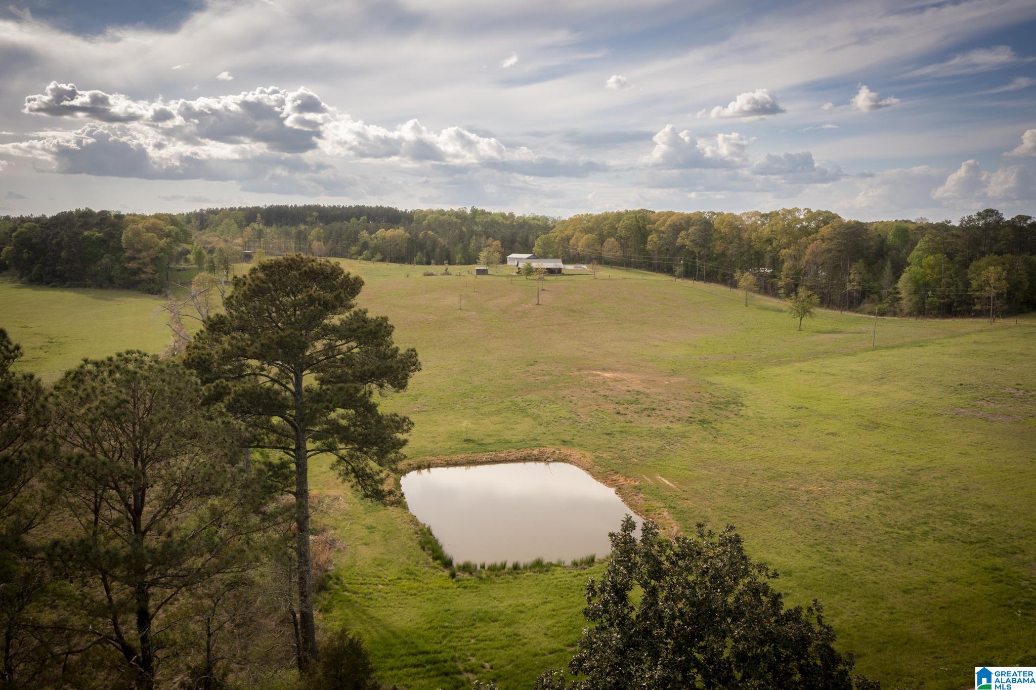 1325 Ledbetter Road Munford, AL 36268 - Photo 19 of 85